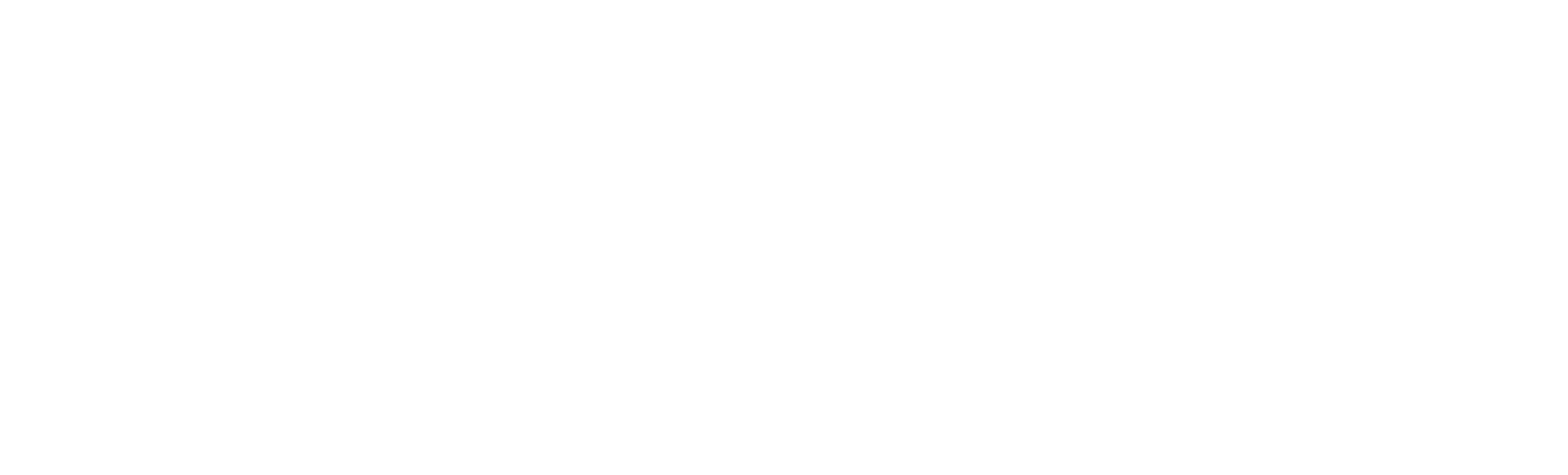 Omoda C5 Logo